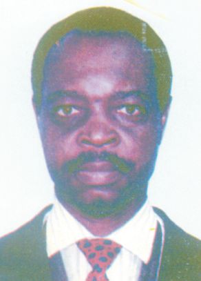 Engr. (Dr.) I.N. Chukwuneke (FNSE, FNIStructE)